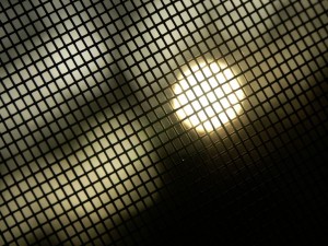 cage-2.jpg